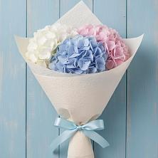 Букет Нежная гортензия